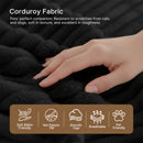 25124855
