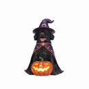 Halloween Black Labrador Retriever Dog Statue, Large Sitting Dog Figurine with Witch Hat & Cape, LED Light Up Jack-O-Lantern Pumpkin
