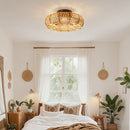 25045904