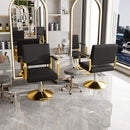 Hydraulic Salon Chair - 360° Swivel Barber Stylist Chair with Pump, Non-Tilting Hairdressing Chair for Hair Salons, Tattoo & Beauty Spa (Professional Stylist Equipment)(Black+Gold)