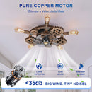 25046250