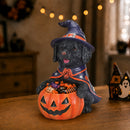 Halloween Black Labrador Retriever Witch Puppy Figurine, Cute Dog Holding Pumpkin Candy Bowl Decoration