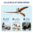 25045586