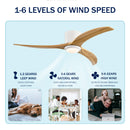 25046569