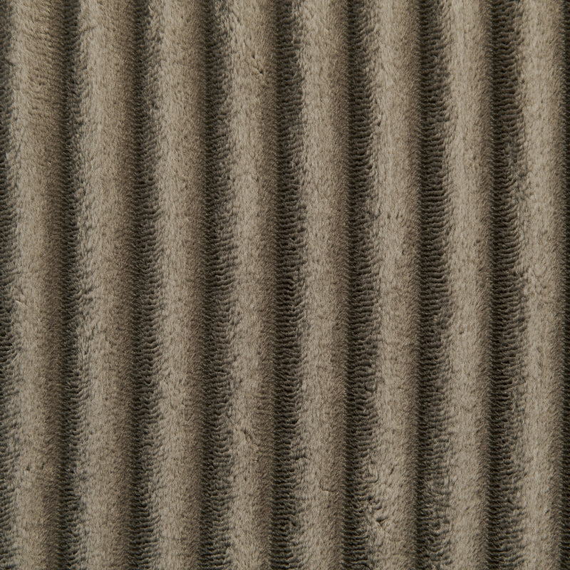 20618003