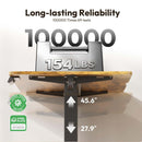 25083331