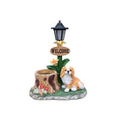 24254698