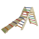 Fionafurn Pikler Triangle Ladder with Ramp and Slide, Wooden Foldable 2-in-1 Climbing for Toddlers and Kids 1-7 y.o. (Multicolor)