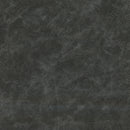 25126659