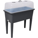 Self-Watering Raised Garden Bed with Ventilated Transparent Greenhouse Lid, Elevated Planter Box with Removable Legs for Vegetables & Flowers, Deep Gray