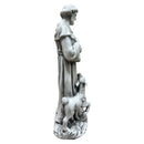 25996896
