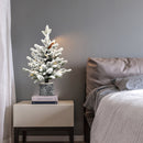 2FT Flocked Christmas Tree with Pot Base, 30 Warm White LED Lights, 189 Tips, PE+PVC Branches with 3 Pine Cones – Small Prelit Holiday Tree for Tabletop, Entryway, or Home Decor