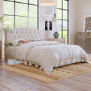 24061701