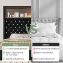 25953562