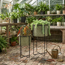 S/2 Textured Green Iron Planters with Sleek Black Stands