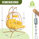 24255549