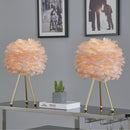 Pink Feather Table Lamps Set of 2, 19' Modern Feather Bedside Lamp, Gold Tripod End Table Lamps for Living Room, Bedroom, Dining Room