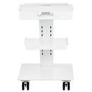 Lab Trolley, 3-Layer Rolling Lab Cart, Metal Mobile Trolley with Swivel Wheels, Tray Rolling Clinic Cart 220 lbs Weight Capacity, for Lab, Clinic, Beauty and Salon