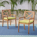 PERLA DINING CHAIR,2PCS with 2 Green Cushions,for Backyard, Poolside, Garden