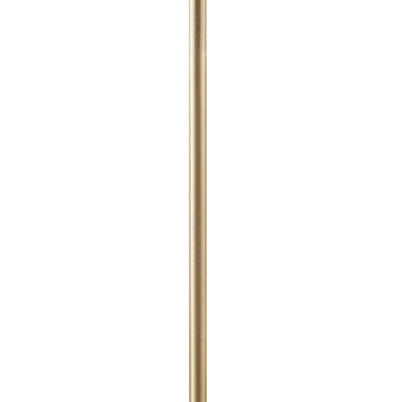 20705449