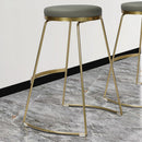 Modern Counter Height Stool with Gold Frame