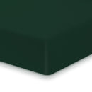 25405367