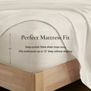 25122956