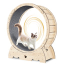 Cat Exercise Wheel for Indoor Cats, Cat Running Wheel with Carpeted Runway, Cat Sport Treadmill Wheel for Kitty's Longer Life, Fitness Weight Loss Device, 37' Natural Wood Color