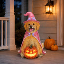 Halloween Golden Retriever Dog Statue, Large Sitting Dog Figurine with Pink Witch Hat & Cape, LED Light Up Jack-O-Lantern Pumpkin