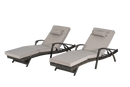 24761569