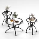 3 Piece Tempered Glass Surface Coffee Table Set, Decor Coffee Table Round End Side Table with Sturdy Construction for Living Room (Rustic Black)