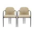 Modern Dining Chair Set of 2 with Iron Frame in Espresso and Khaki
