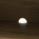 25215683