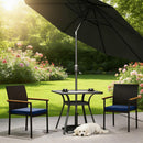 Set of 2 Dining Chair,Rattan Dining Chair with Backrest, Armrests