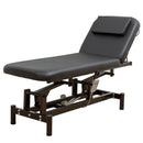Electric Massage Table 440LBS, Heavy Duty Salon Bed with Remote Height Adjustment (19.6'-36.6'), Adjustable Backrest & Removable Headrest, Waterproof PU Leather Facial Tattoo Spa Bed – Black