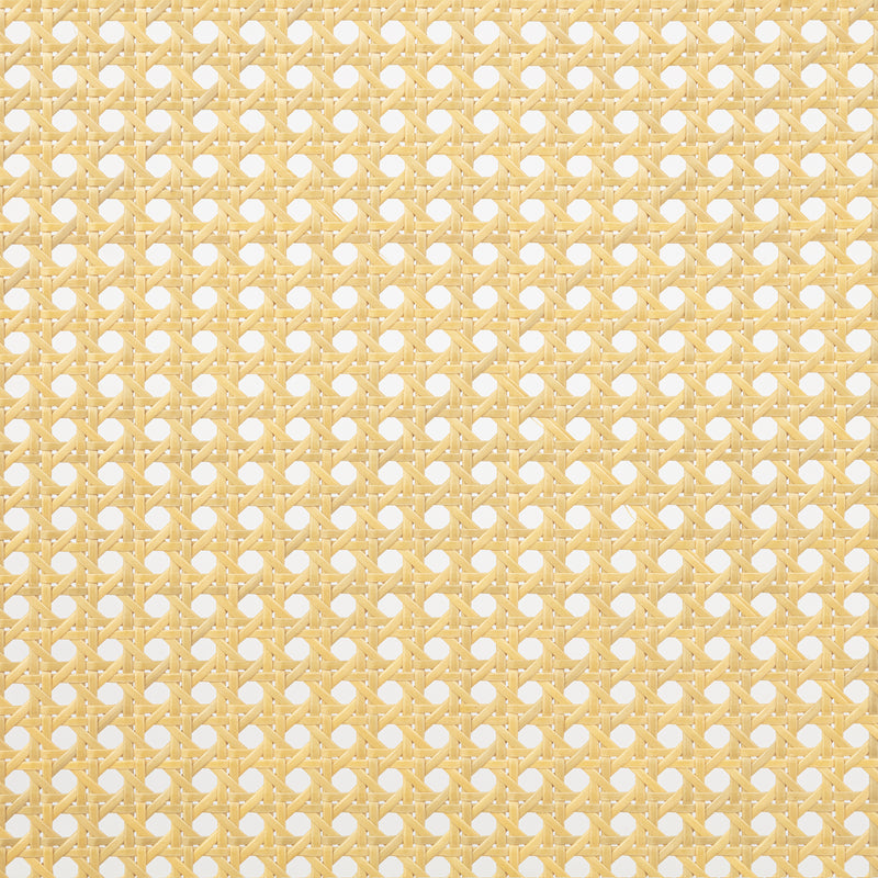 19025892