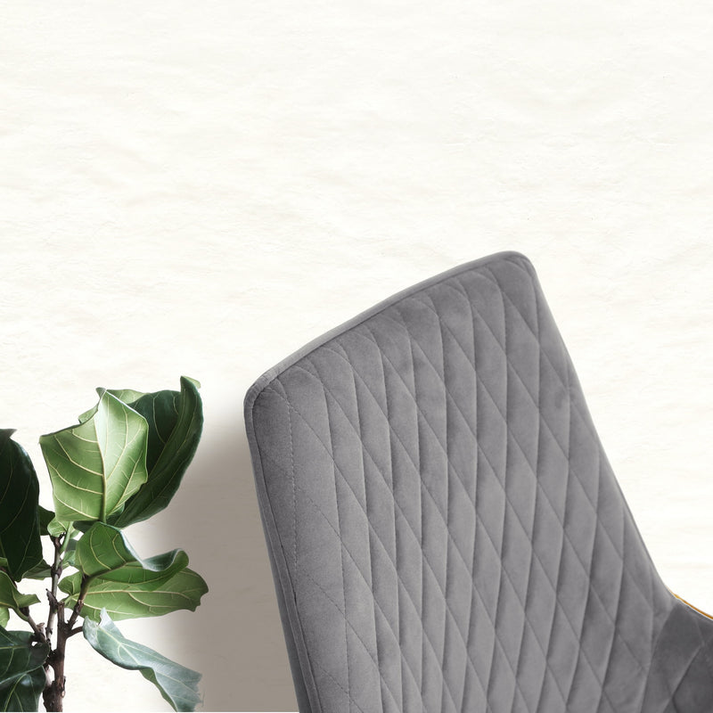 RABIOT Velvet Upholstered Dining Chair in Dining Room